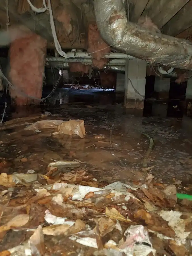 Crawl space flood assessment for Leak Detection & Repair in Spring