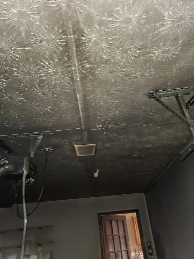 Fire and smoke damage assessment for Water Damage Assessment in Spring