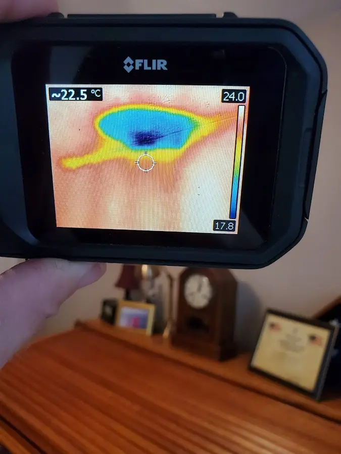Thermal imaging inspection for water damage in Spring
